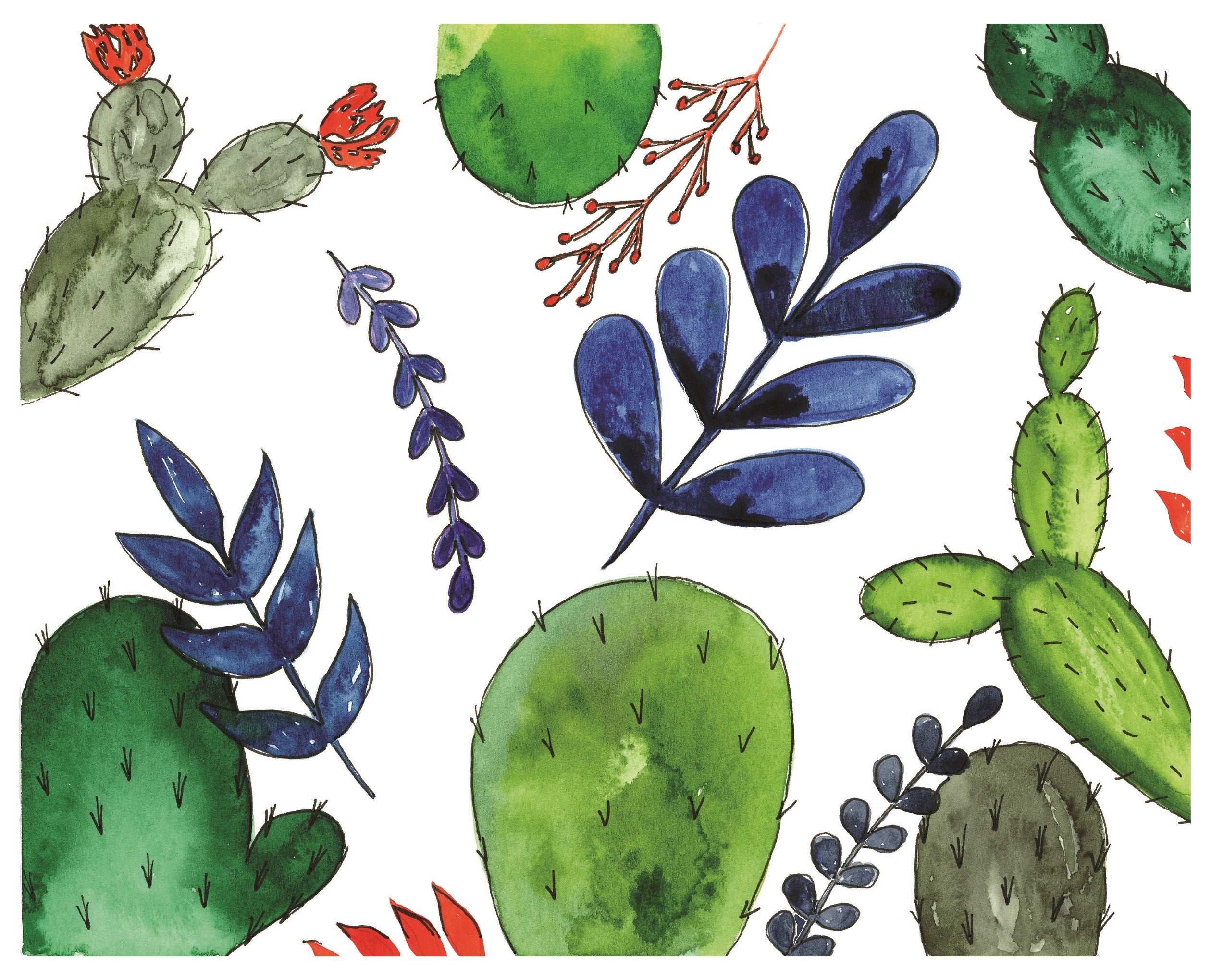 Cactus Collage